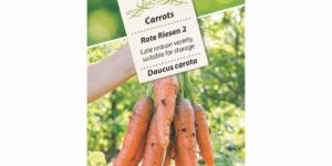 Sachet Graines Carottes